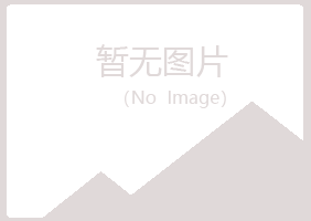 岐山县雪枫金属有限公司